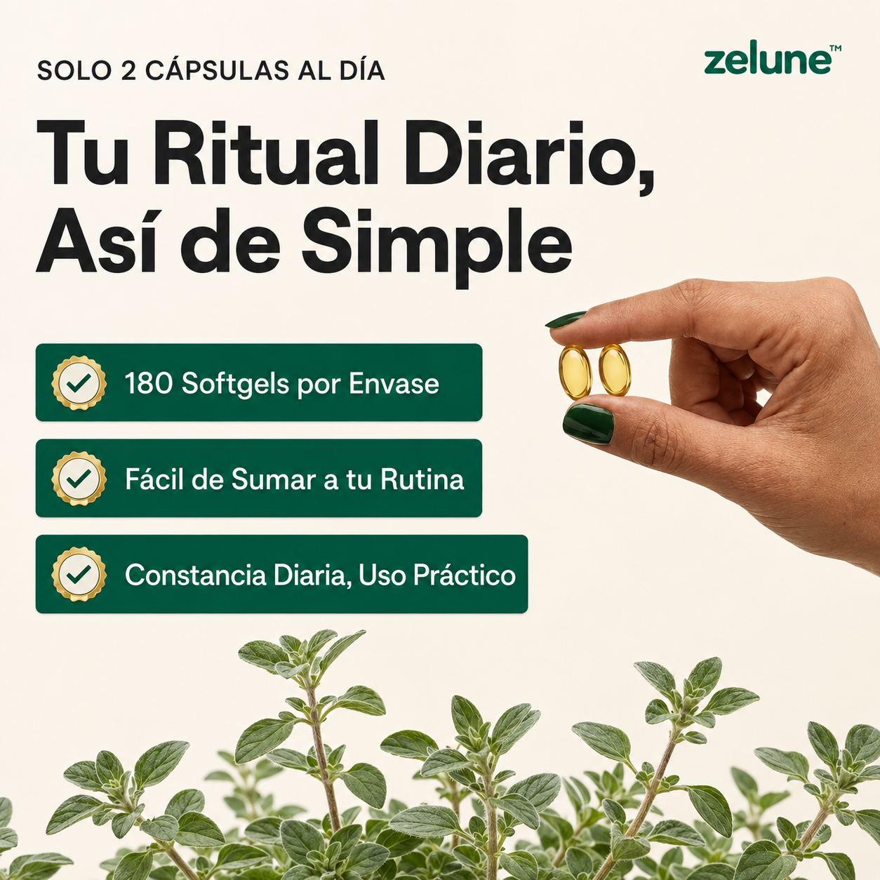 Aceite de Orégano 6.000 mg con Comino Negro – [180] cápsulas